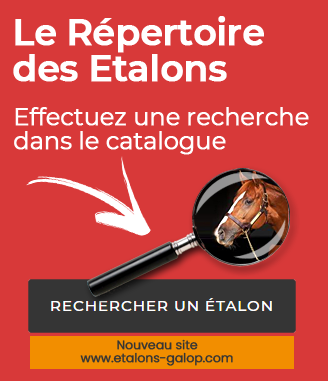 rechercher un étalon